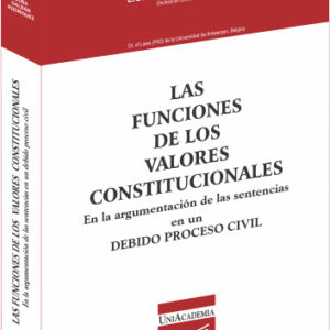 Las funciones de los valores constitucionales en la argumentación de las sentencias en un debido proceso civil